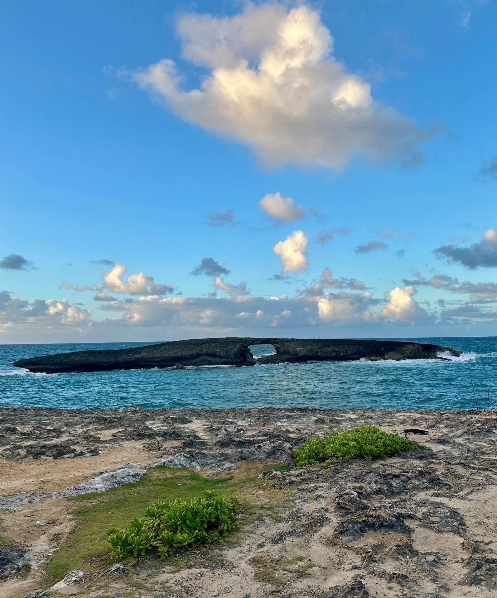 Sea arch off the north shore